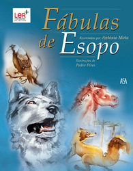 capa livro